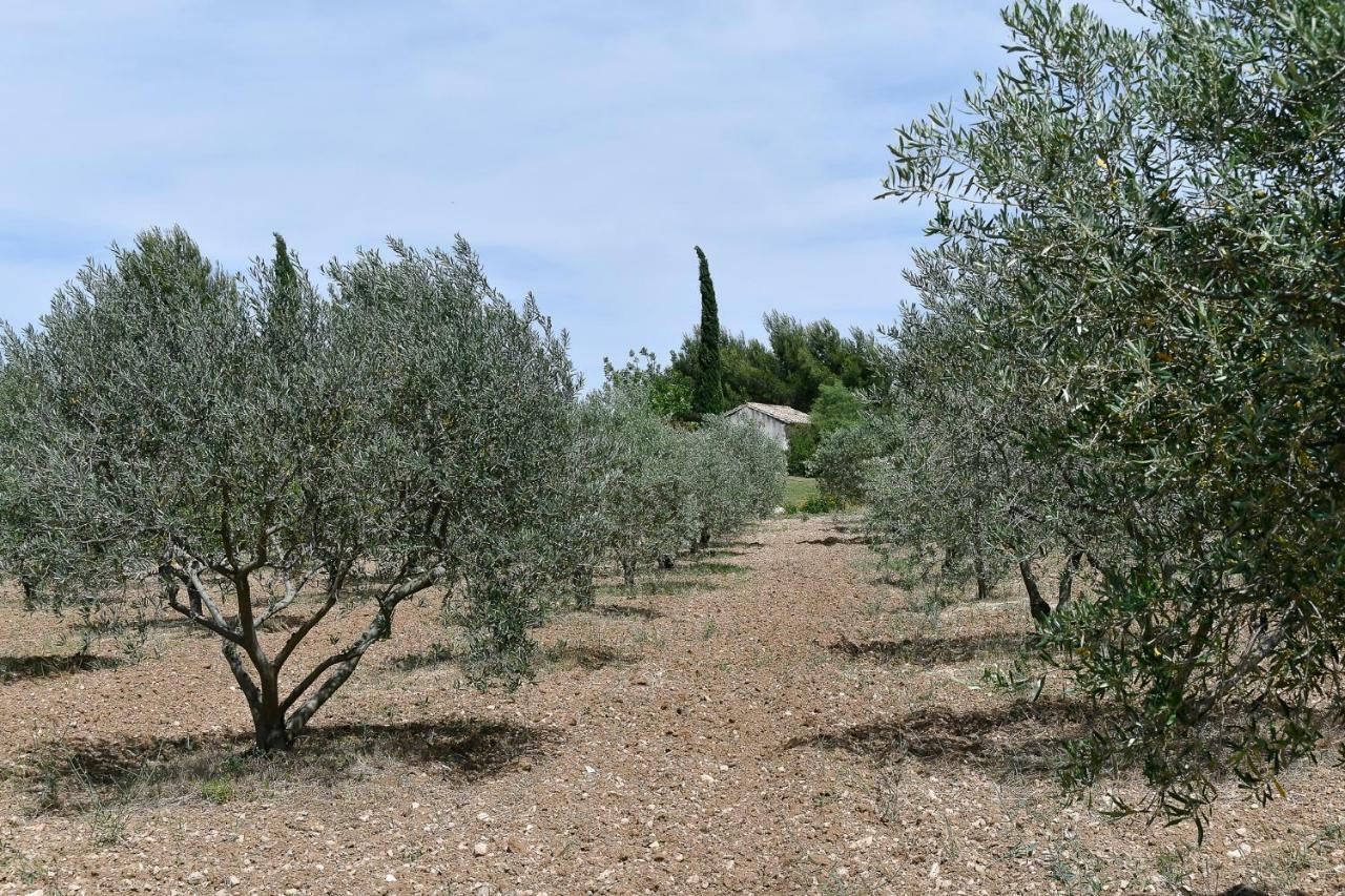Le Mas Des Genets Saint-Rémy-de-Provence Kültér fotó